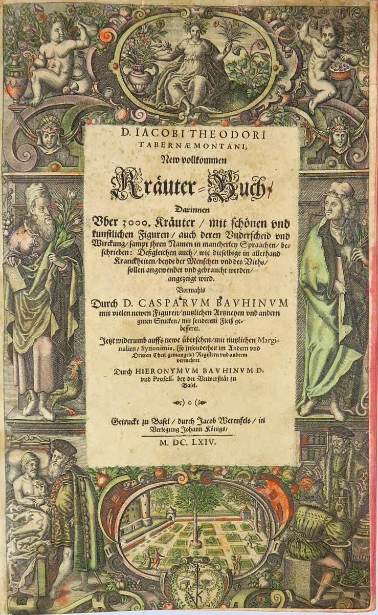 Tabernaemontanus, Jacobum Theodirum