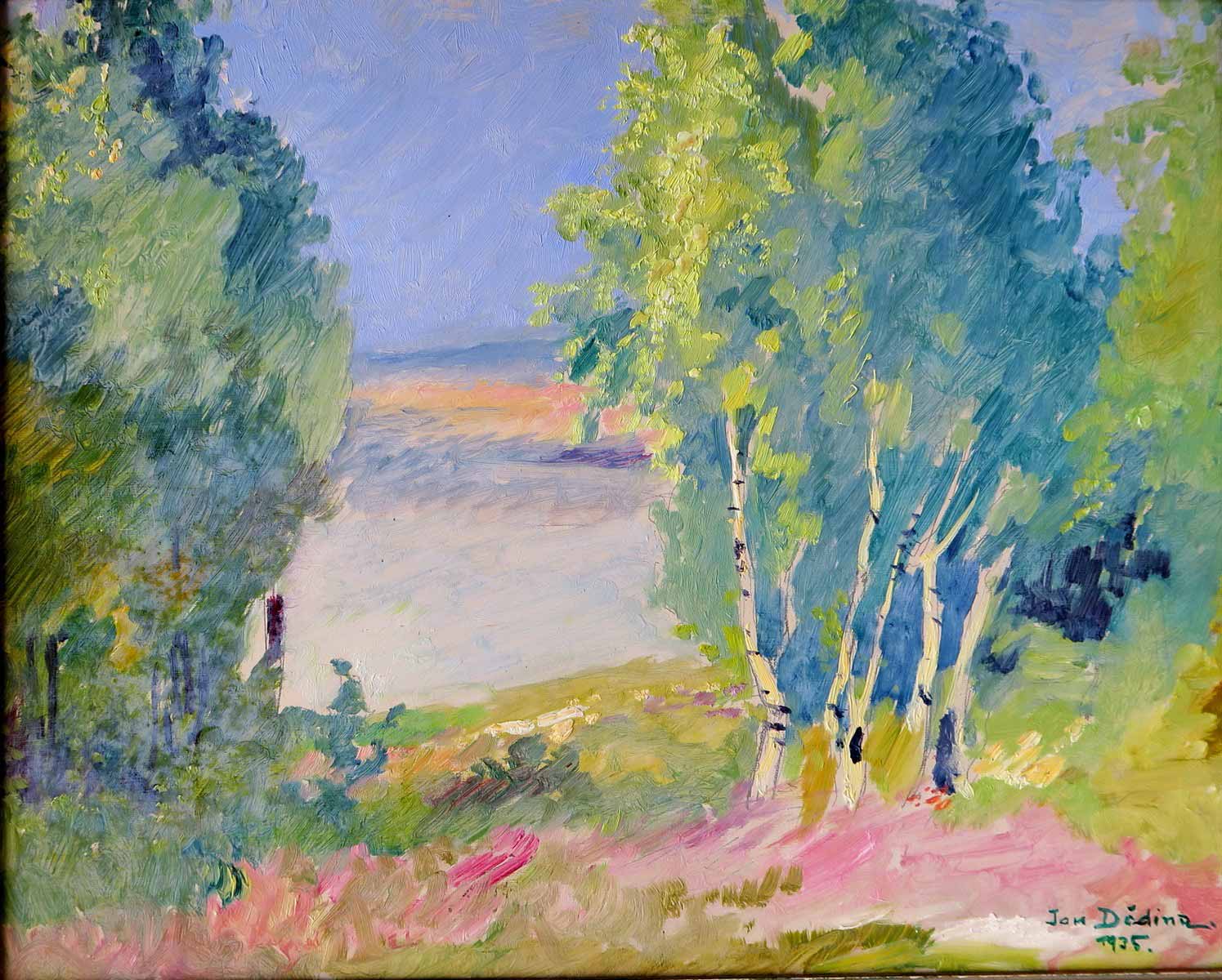 Jan Dědina (1870 - 1955) | Krajina s břízami