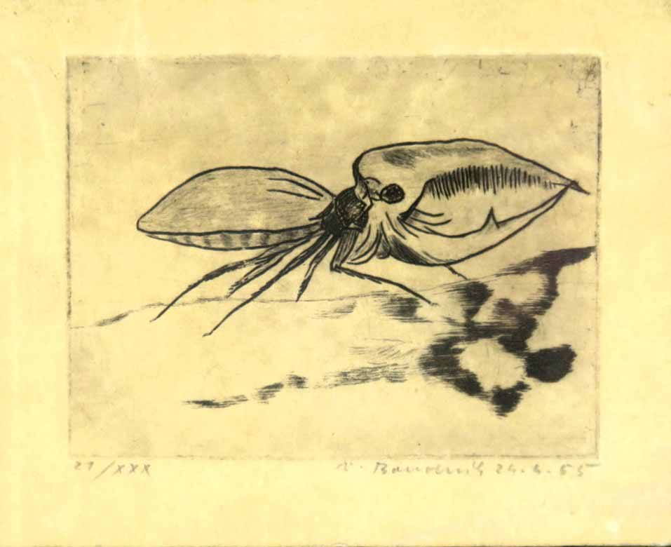 Vladimír Boudník (1924 - 1968) - Brouk roháč