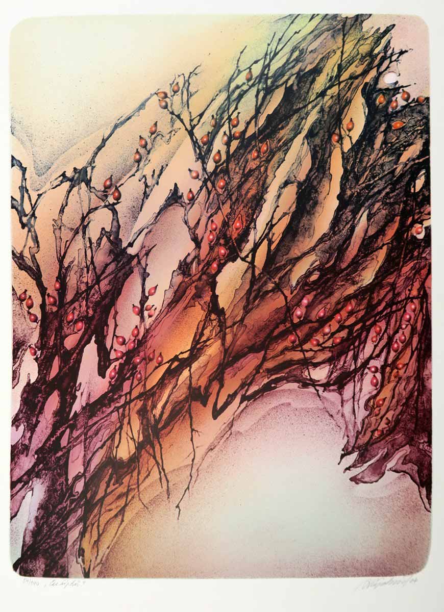 Alena Šlapáková (1941) - Čas šípků