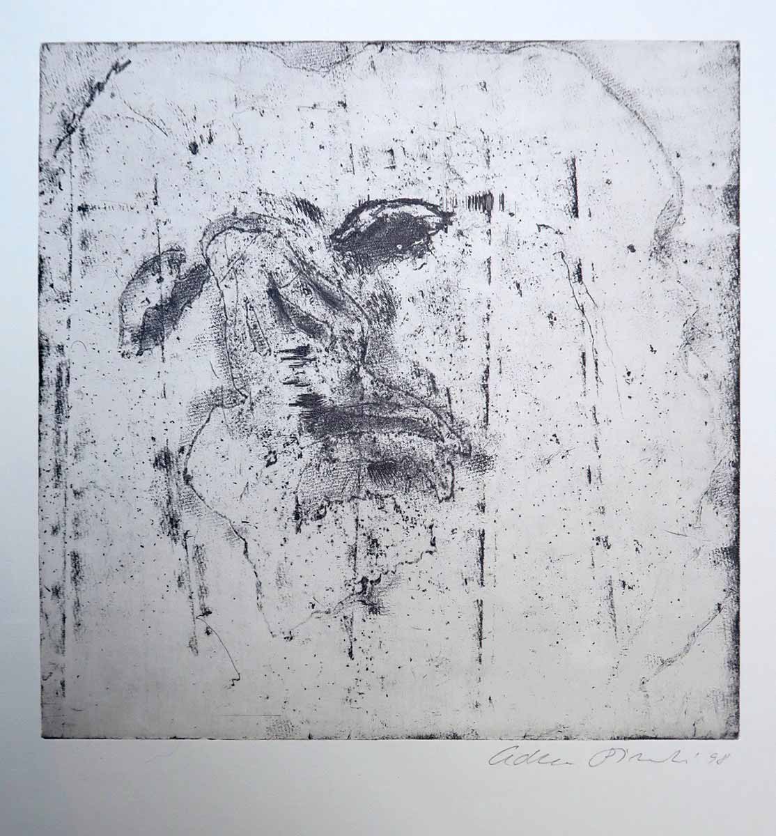 Adriena Šimotová (1926 - 2014) - Tvář