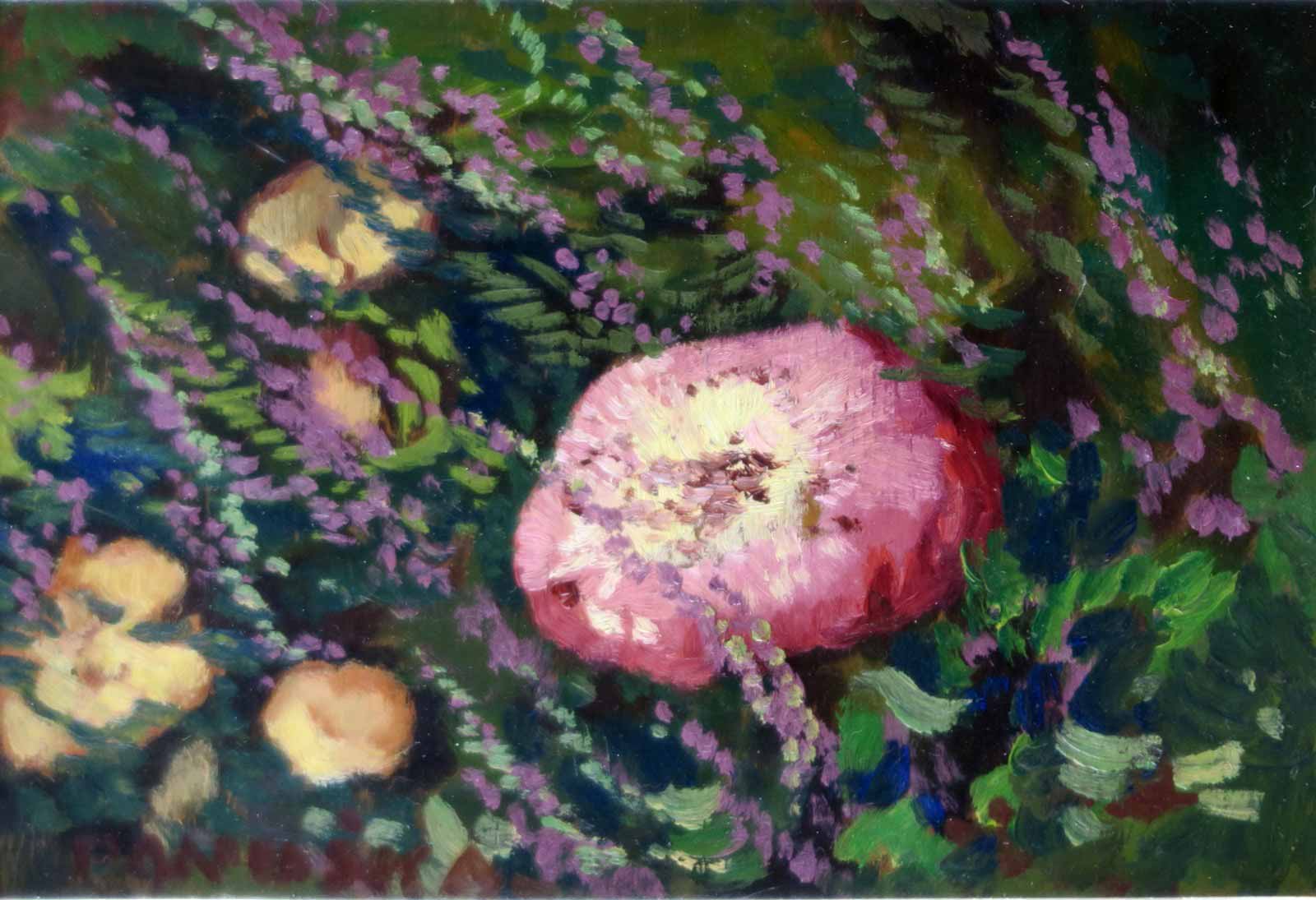 Jaroslav Panuška (1872 - 1958) - Holubinka vláhomilná