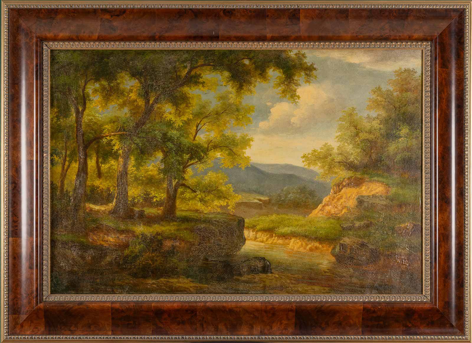 Lesní krajina s korytem potoka