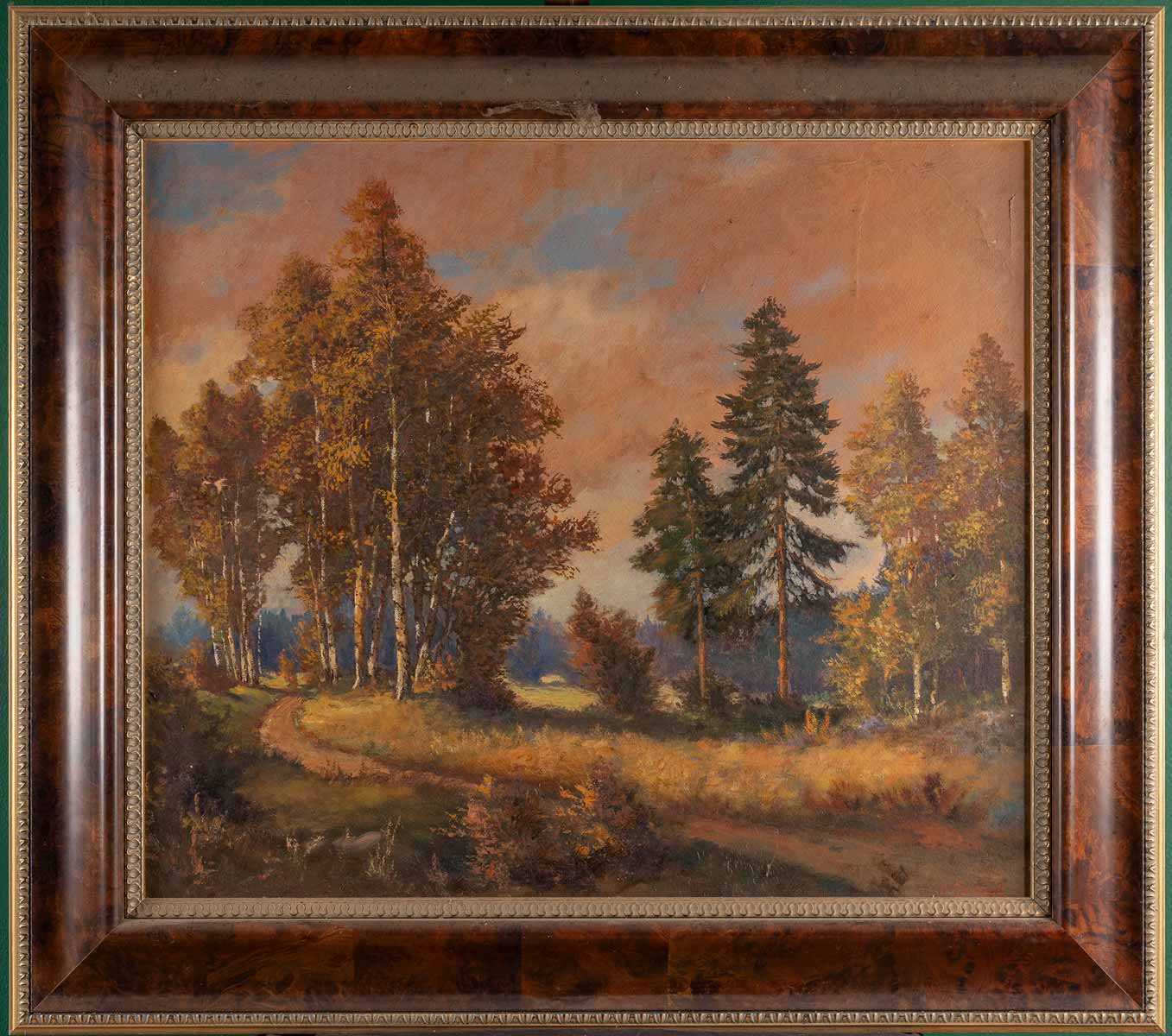 Lesnatá krajina s cestou