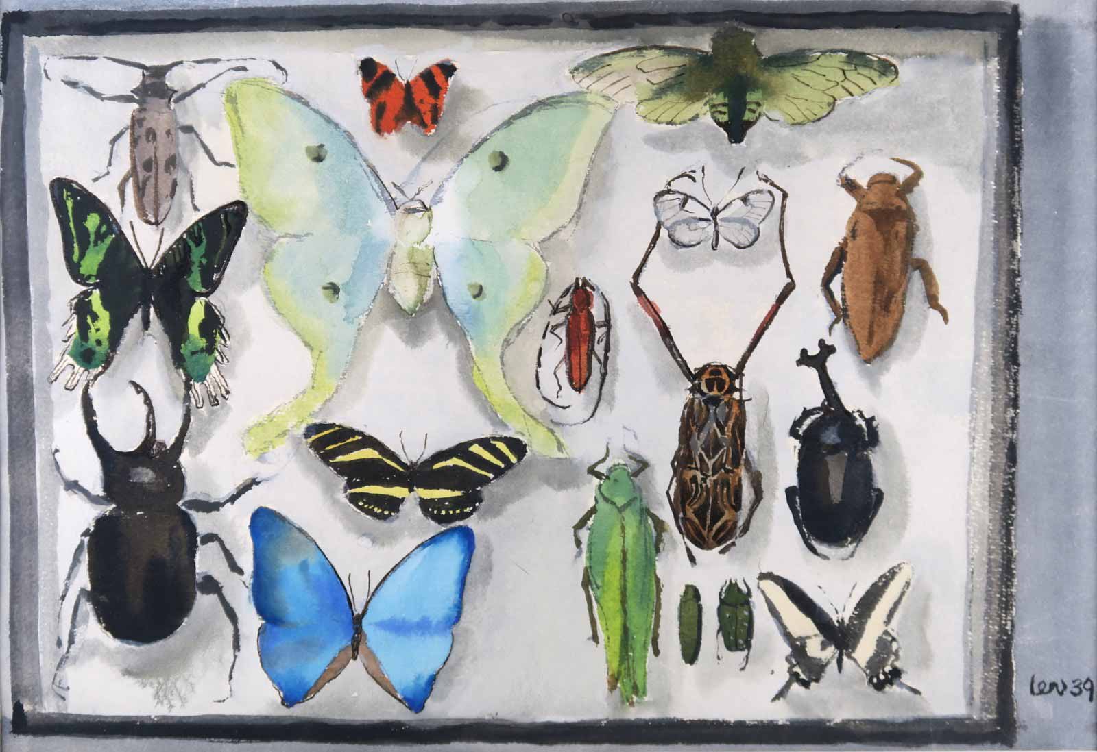 Lev Šimák - Sbírka motýlů