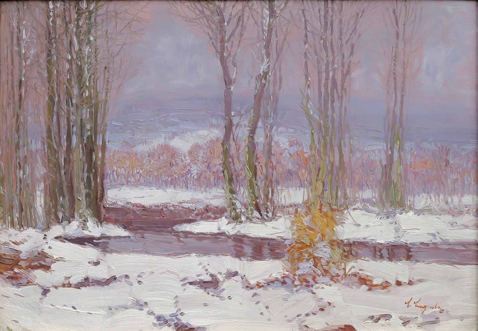 Antonín Augusta - Zimní krajina